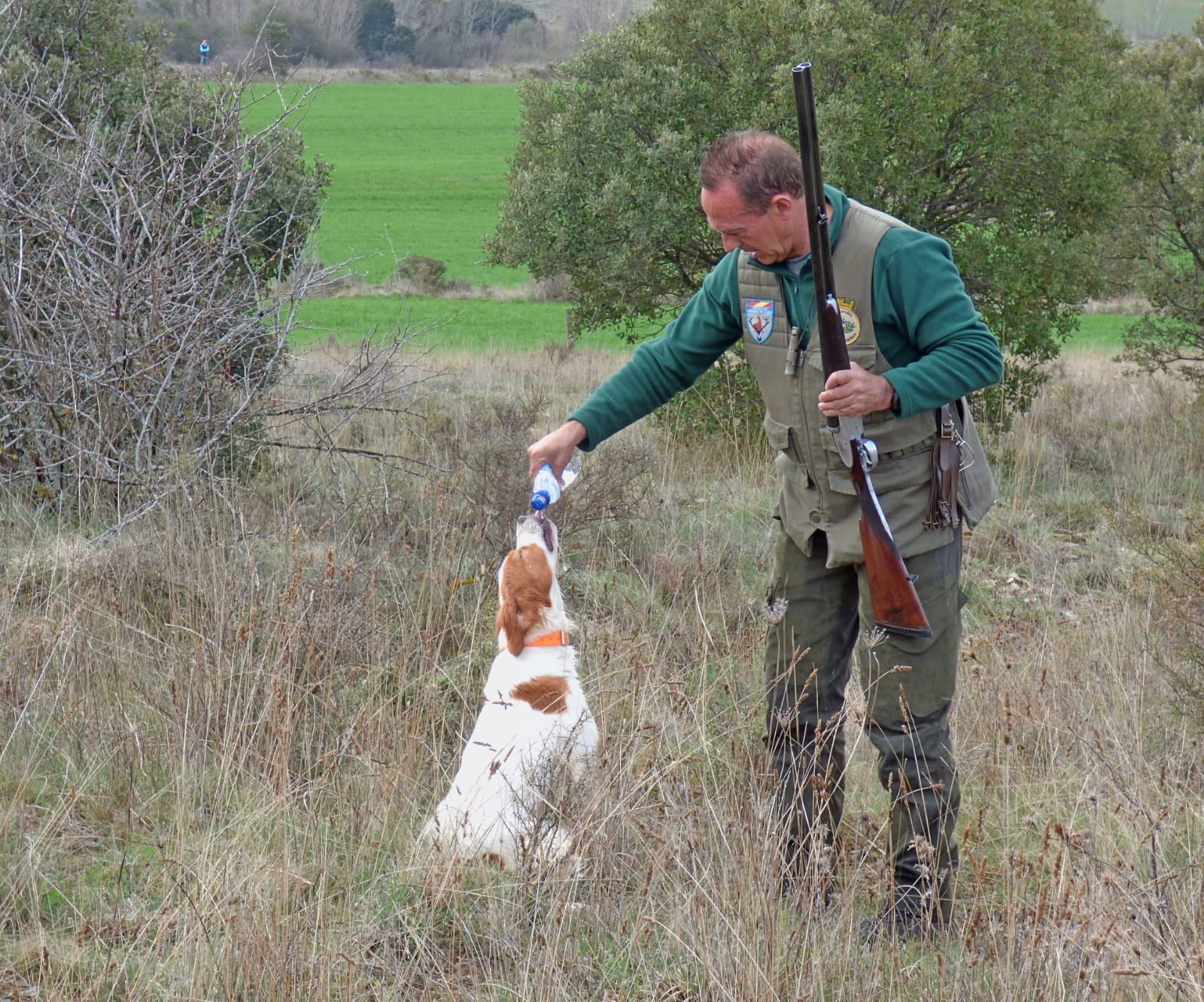 Los cazadores exigen rigor a partidos políticos y medios de comunicación tras el informe del Gobierno que desmonta la mentira del abandono masivo de perros de caza